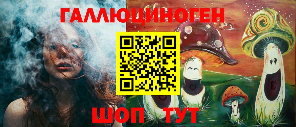 Псилоцибиновые грибы Psilocybe Саранск